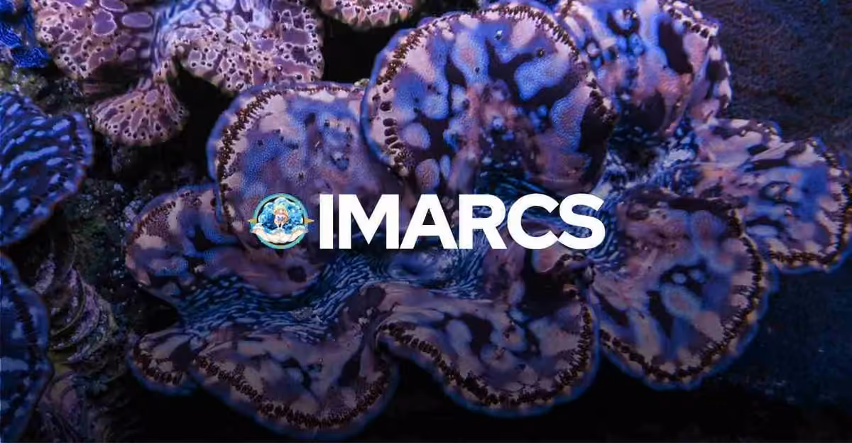IMARCS 2025