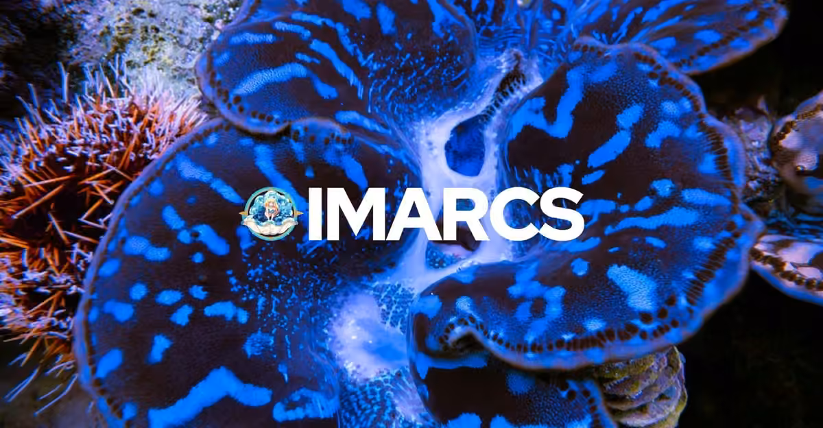 IMARCS research imagery